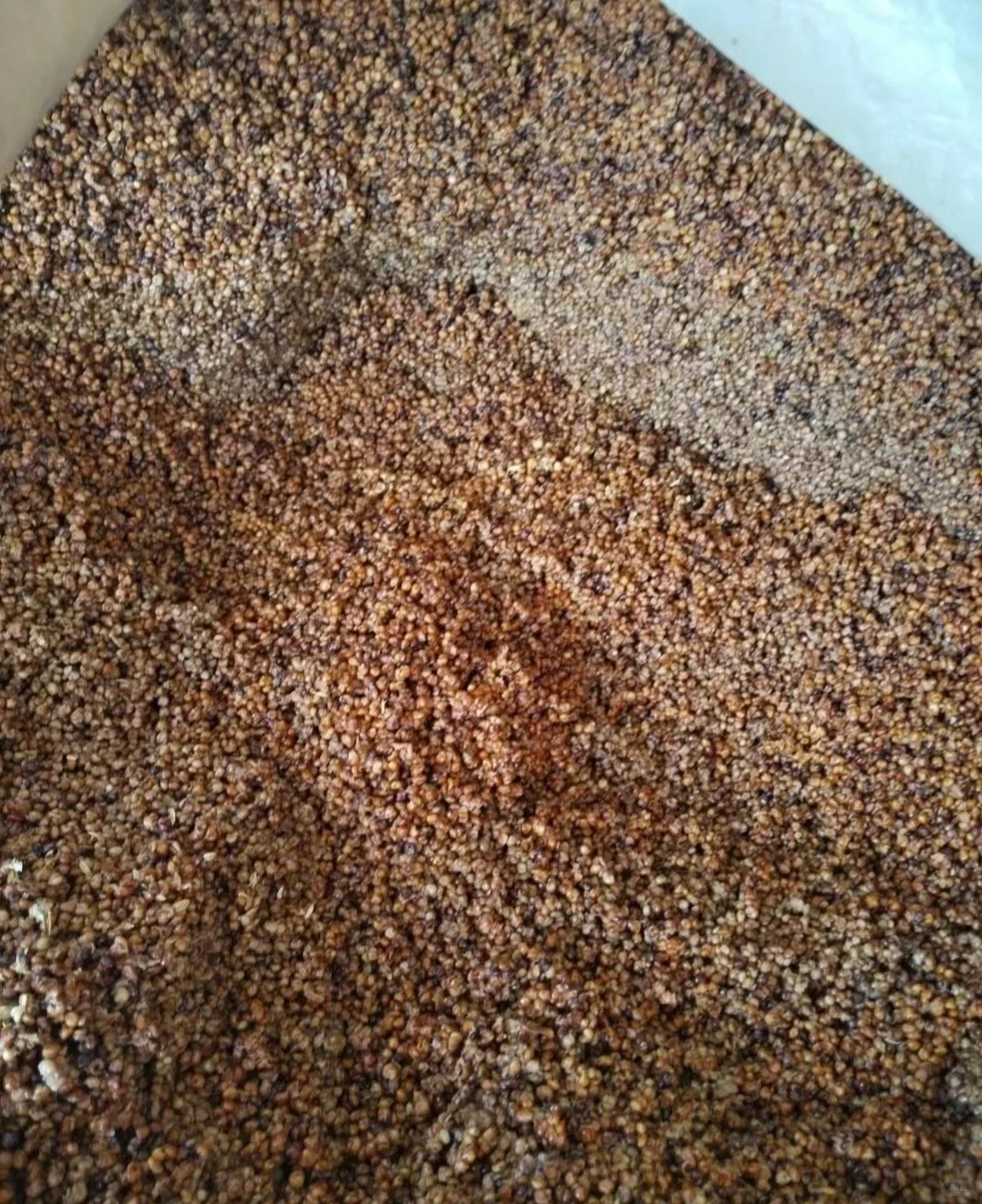 什么是高粱酒?高粱酒对身体有什么好处?