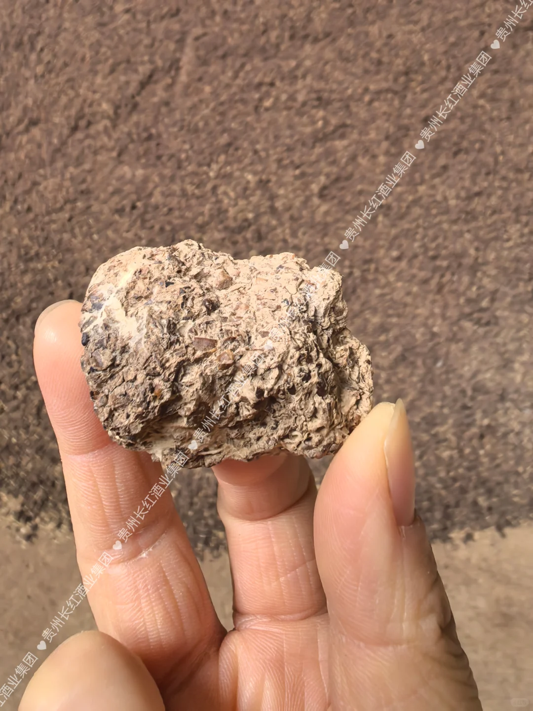 呜呜呜，大家说这些泥巴坨坨是什么？