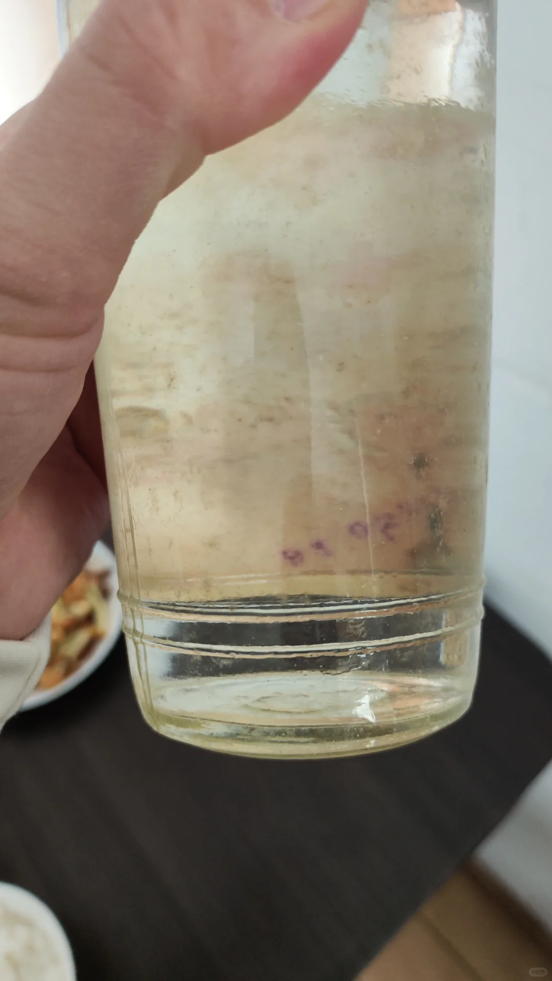 今日老酒-81年古井贡