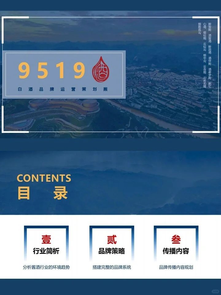 白酒品牌运营策略方案