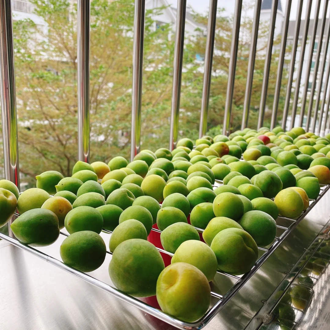 果酒｜青梅果｜夏天喝什么