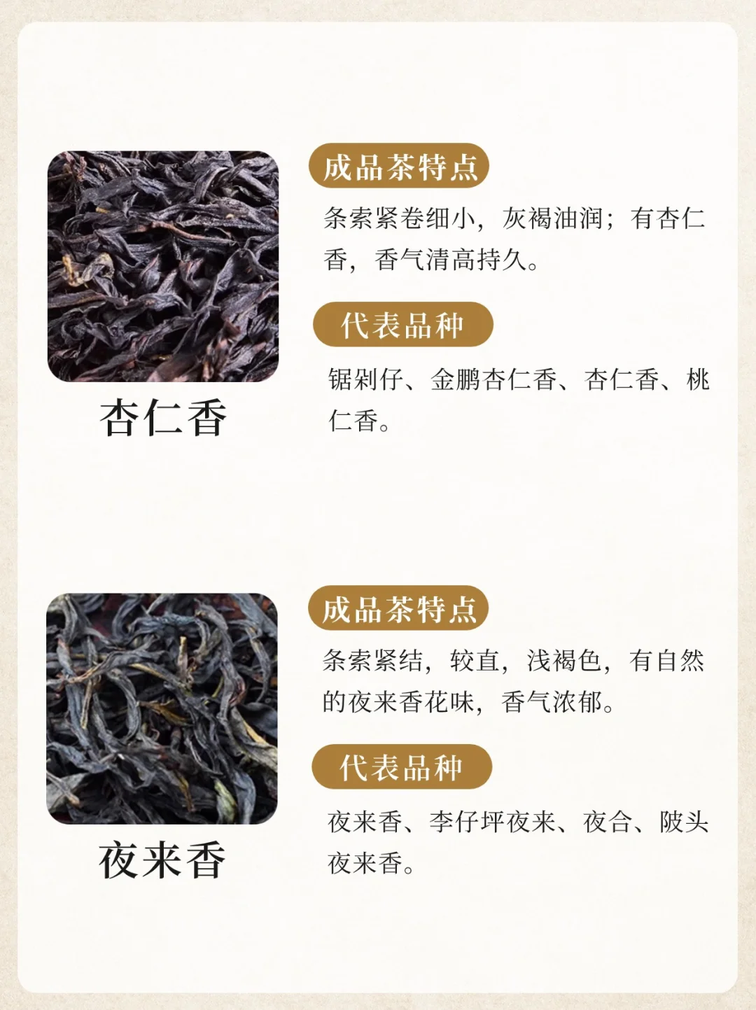 凤凰单丛十大香型?竟然没有鸭屎香‼