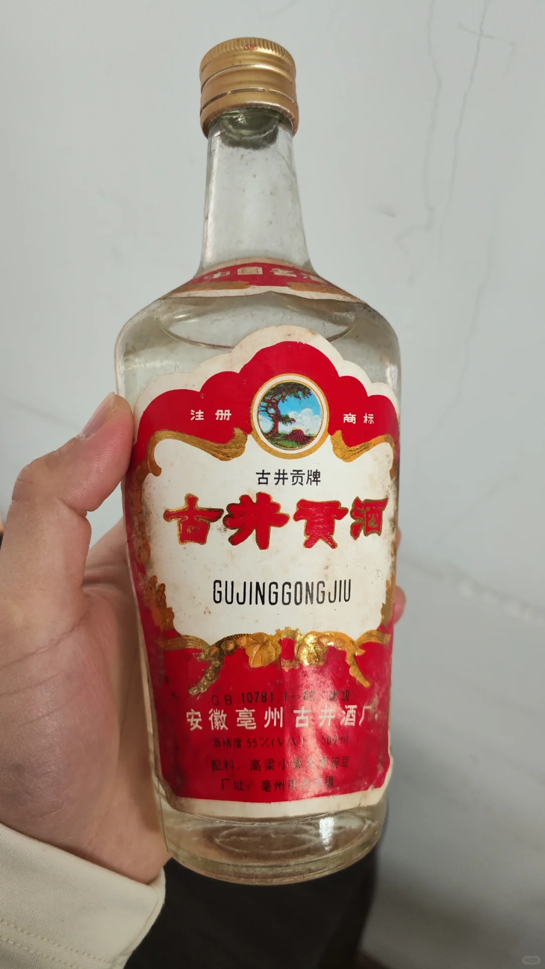 今日老酒-81年古井贡