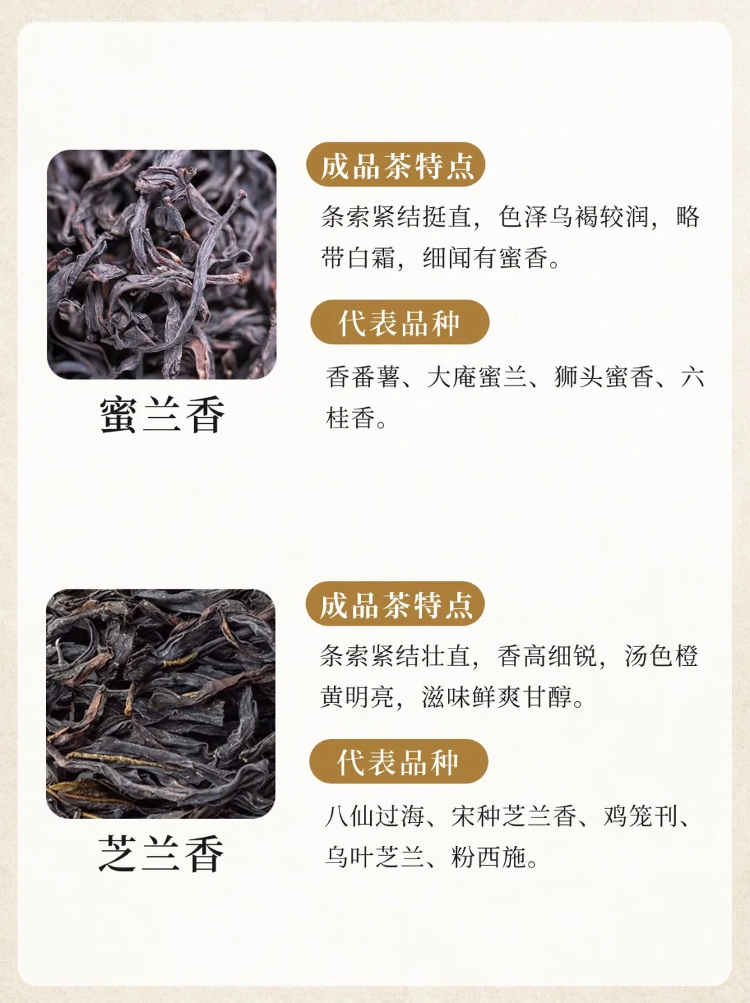 凤凰单丛十大香型?竟然没有鸭屎香‼