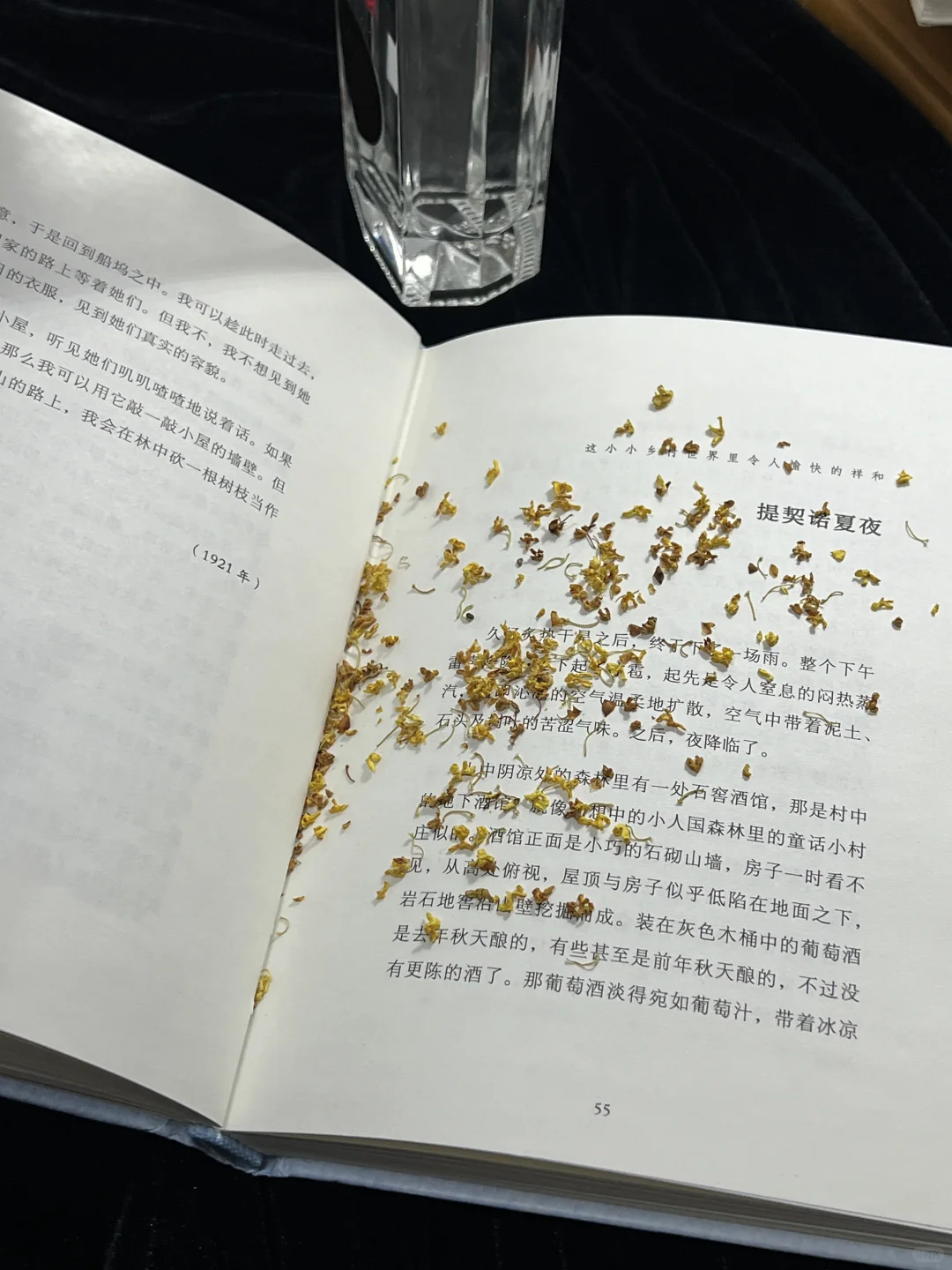 Plog | “处处消化浪漫”