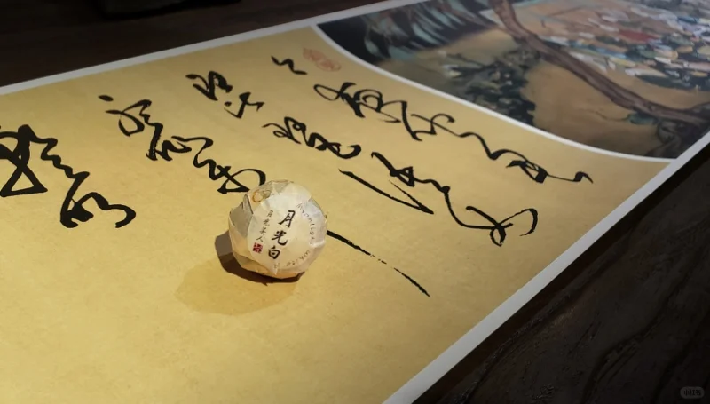 2024if奖-包装设计-2