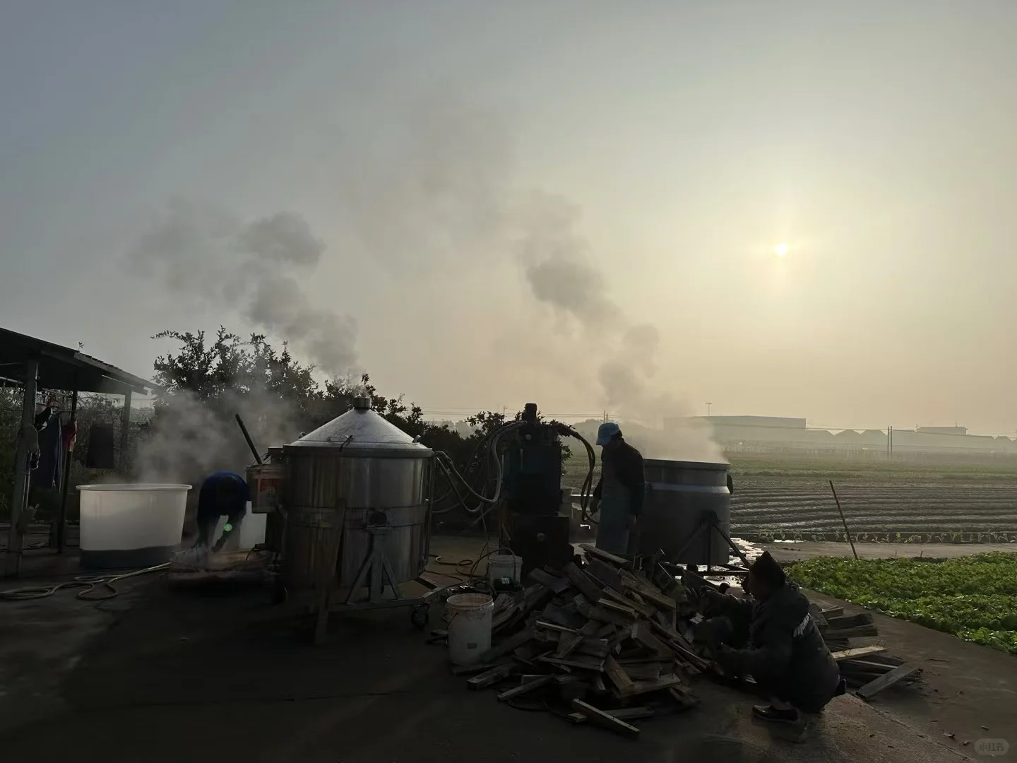 纯粮精酿高粱烧，52度炽热真心