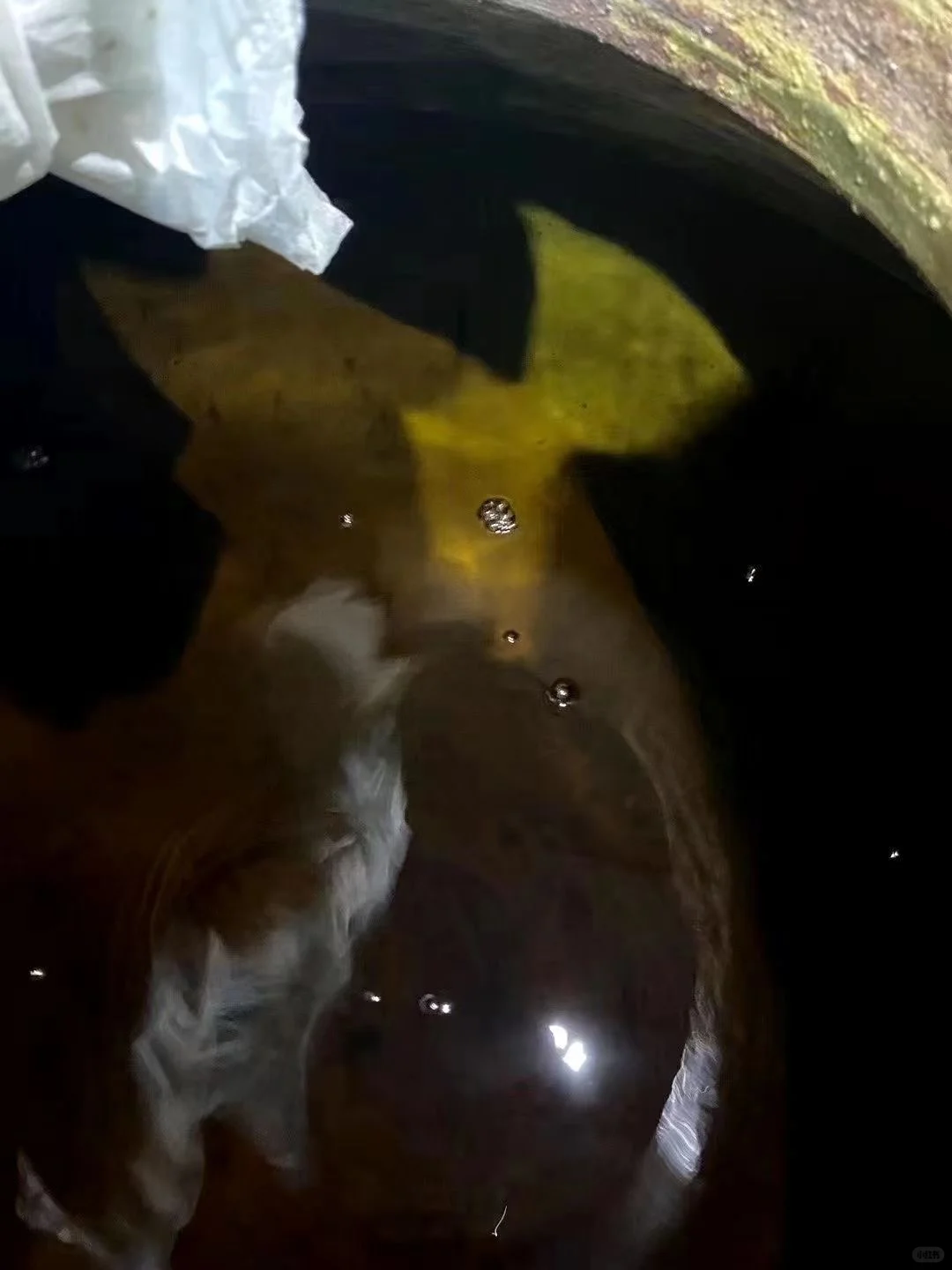 老酒如老友 愈醇愈知心