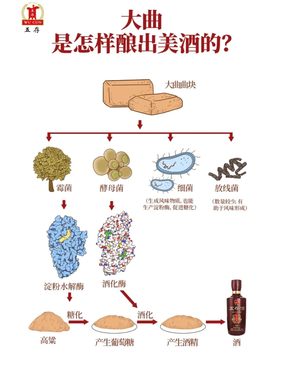 白酒酒曲可以分为哪几种