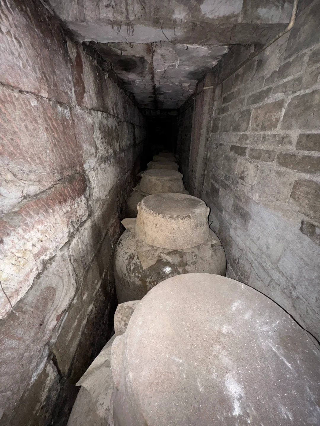 时光窖藏：年份酒的岁月密码与味觉记忆