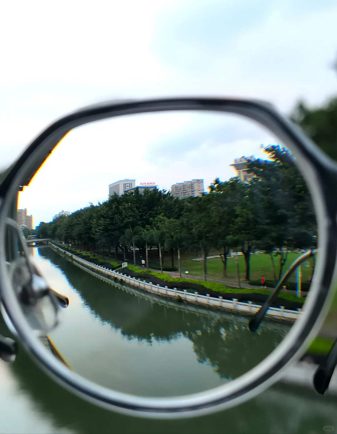 高度近视党哭了 成绩与眼睛双废