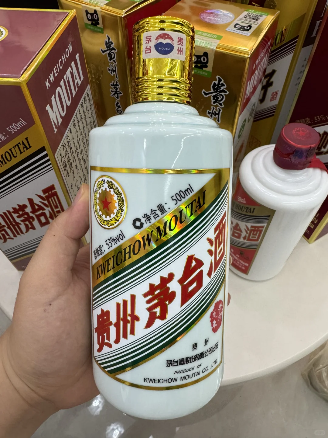 家里的茅系大聚会✨