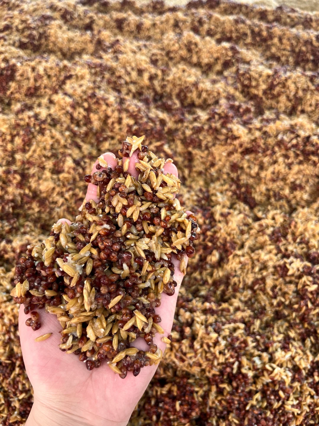 好酒就喝纯粮酿！