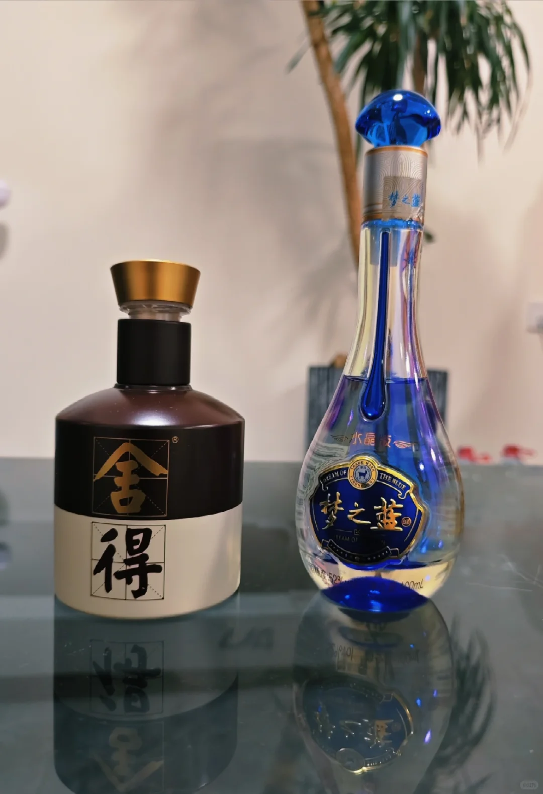 DAY8 洋河M3 VS舍得（小酒版）