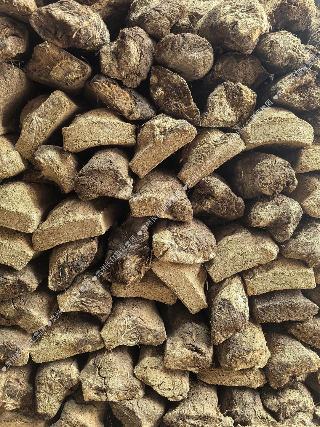 呜呜呜，大家说这些泥巴坨坨是什么？