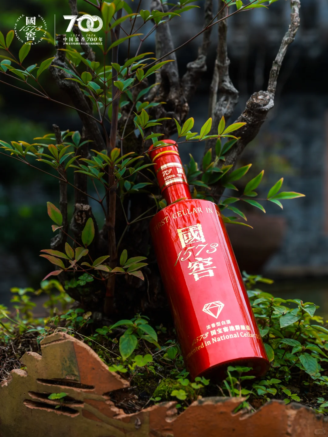 摊牌了!这是一款收藏级浓香白酒