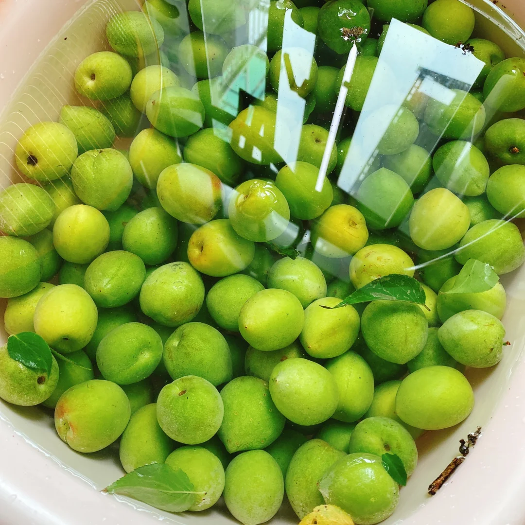 果酒｜青梅果｜夏天喝什么