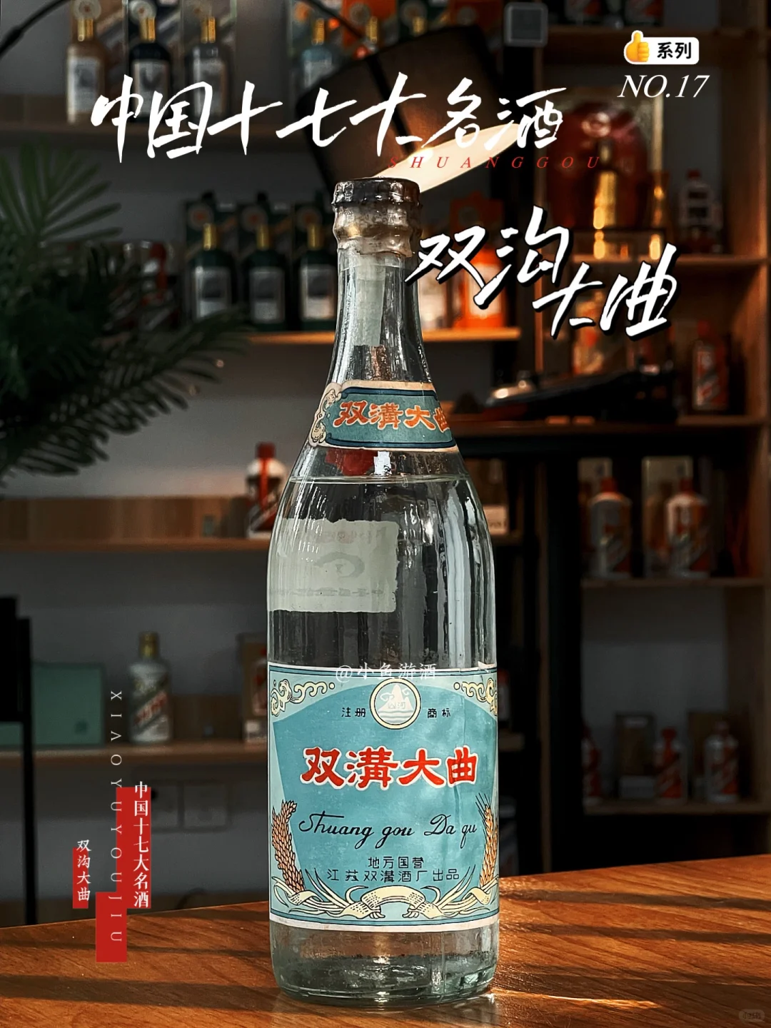 整理17大名酒之第十七瓶：双沟大曲