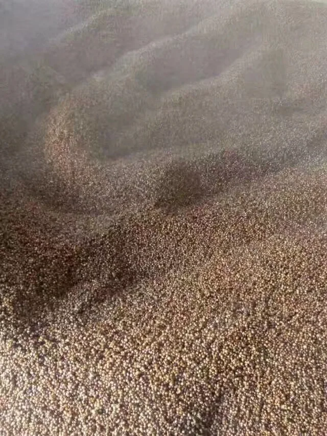 自酿高粱酒之蒸高粱