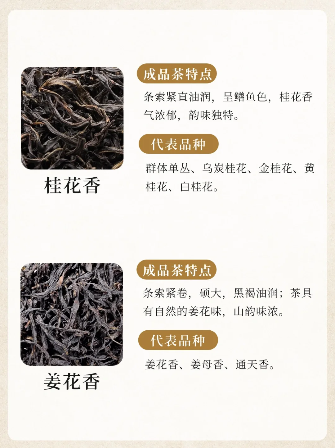 凤凰单丛十大香型?竟然没有鸭屎香‼