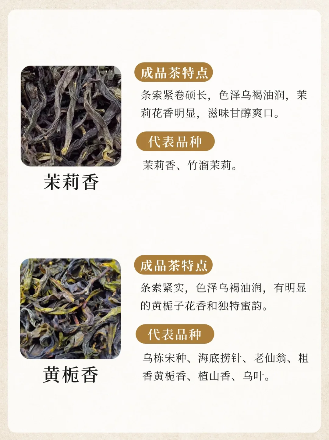 凤凰单丛十大香型?竟然没有鸭屎香‼