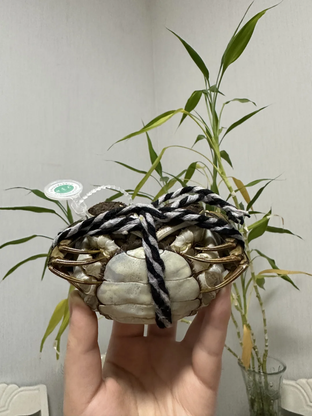 100+一箱的大闸蟹 也太大了吧‼️