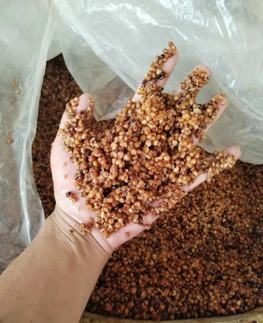 什么是高粱酒?高粱酒对身体有什么好处?