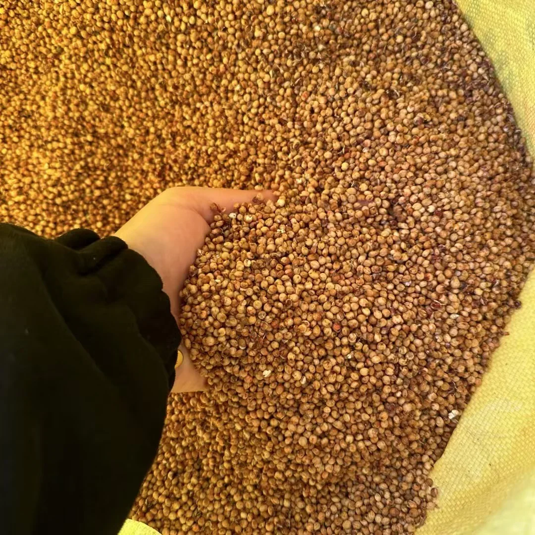 纯粮精酿高粱烧，52度炽热真心