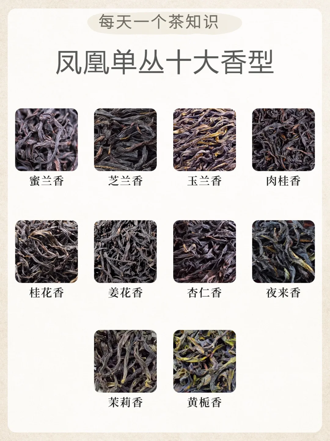 凤凰单丛十大香型?竟然没有鸭屎香‼