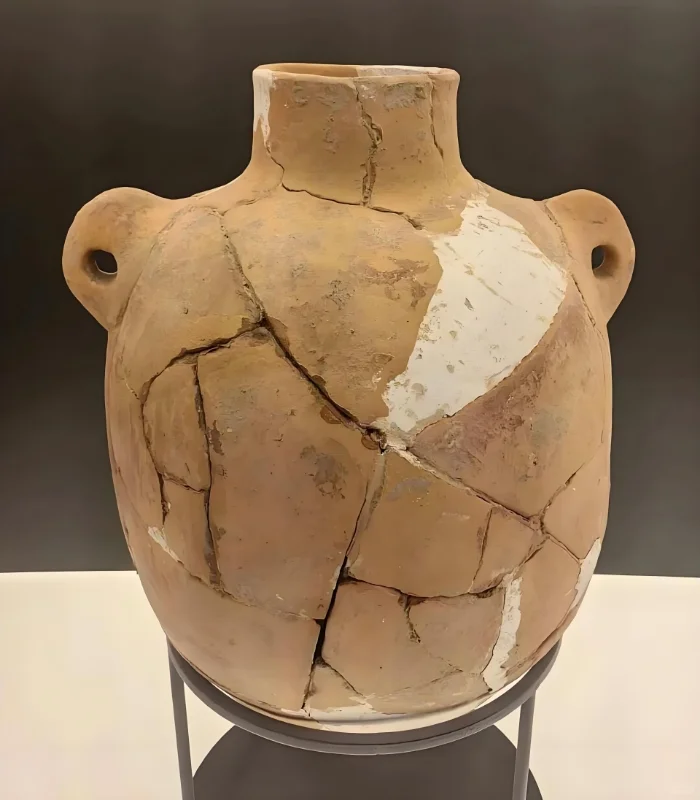 白酒竟有9000年历史?