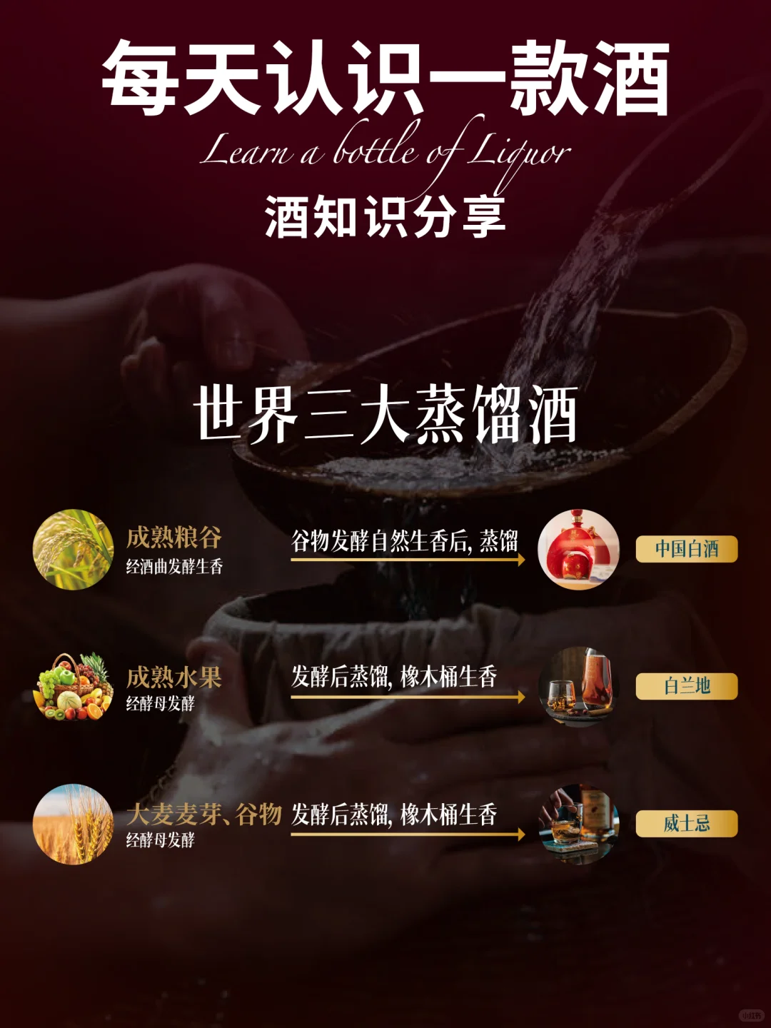 每天认识一款酒｜泸州老窖特曲