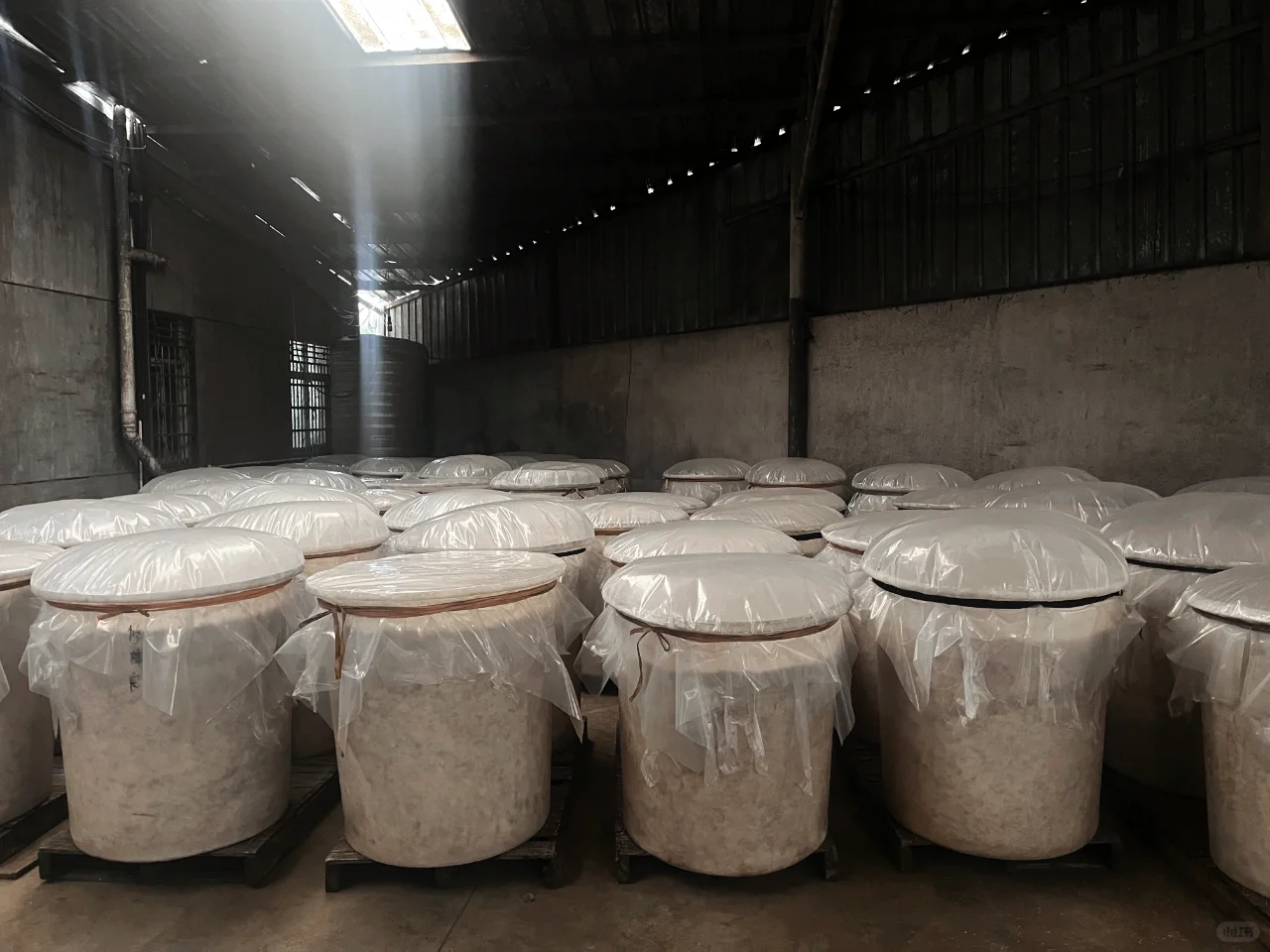 固态发酵法是什么㊙️