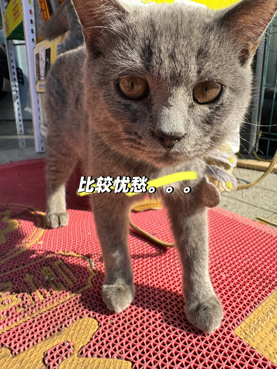 00后亳州小伙古井委培生第六期