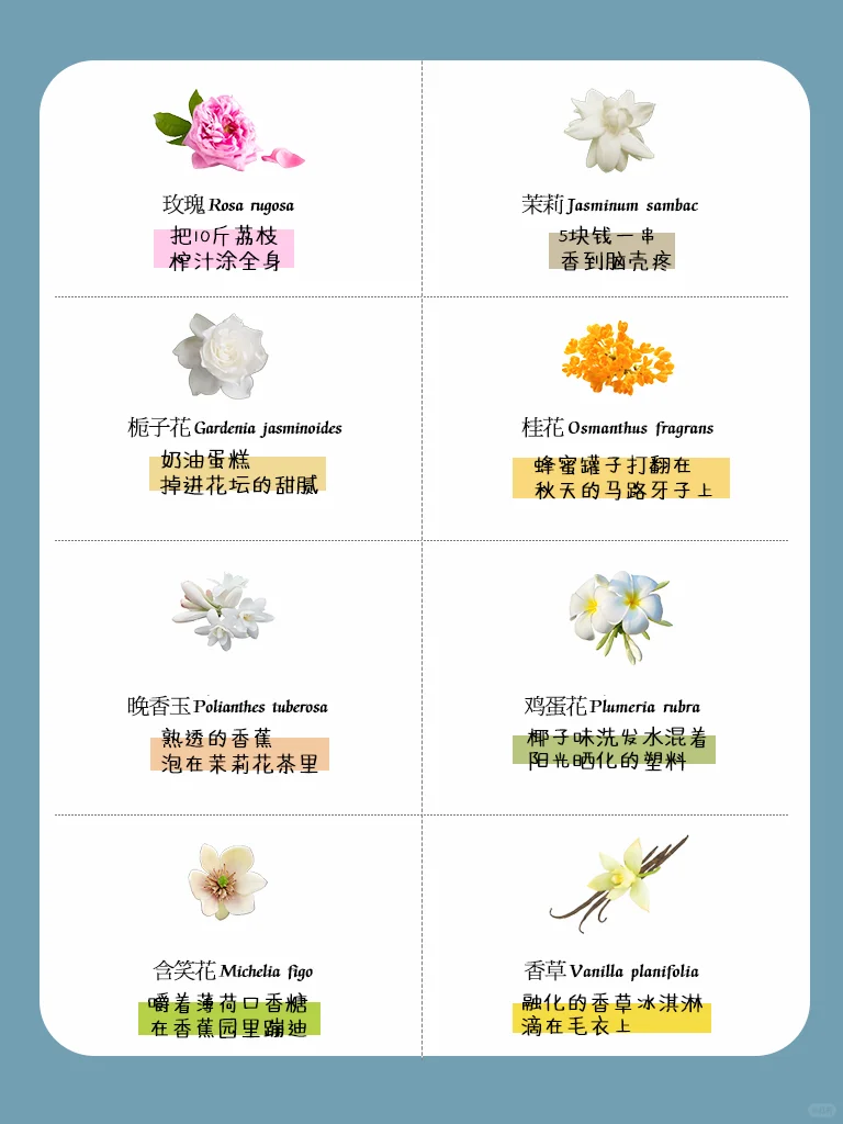 ?秒懂！ 一句话讲明白香植的味道~