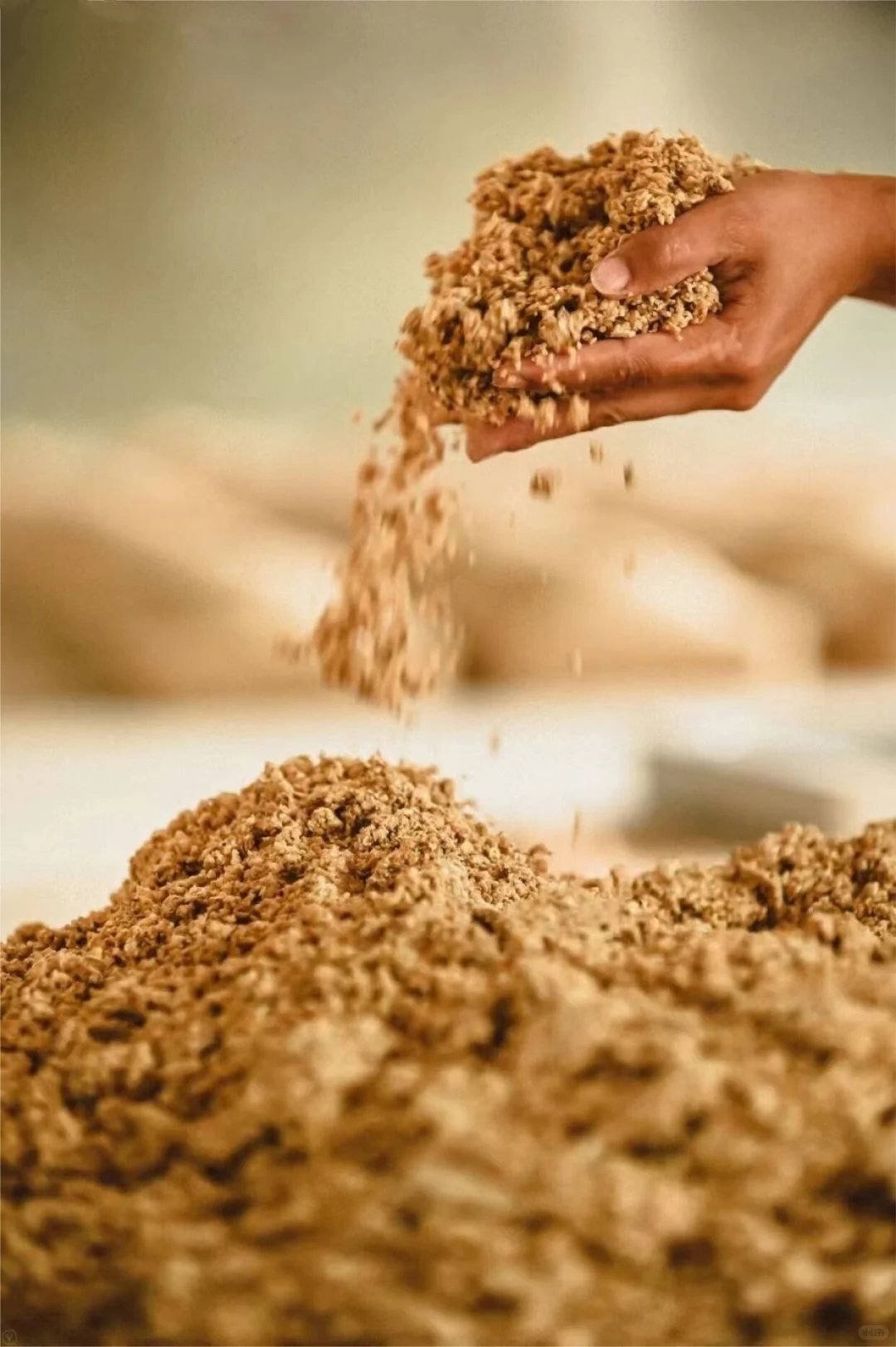 趁着休息和酒厂制曲总工聊聊天