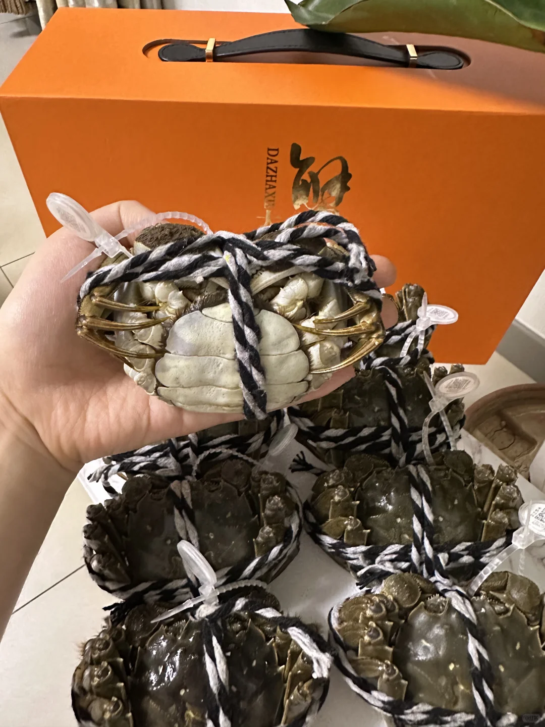 100+一箱的大闸蟹 也太大了吧‼️
