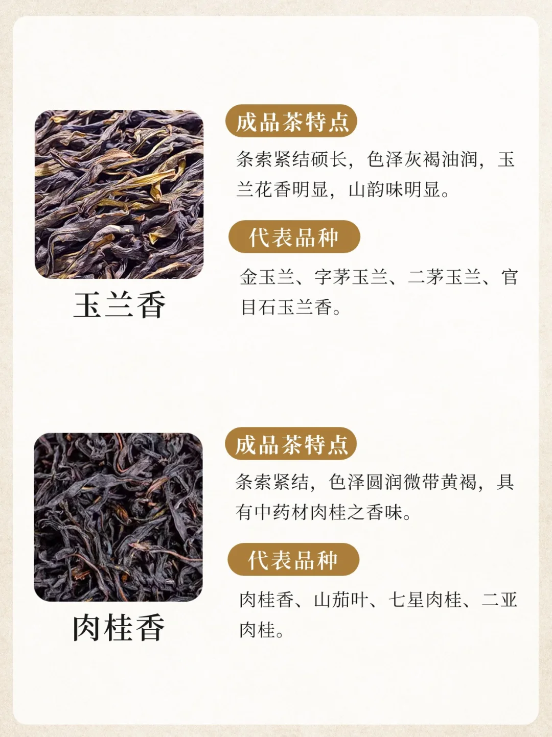 凤凰单丛十大香型?竟然没有鸭屎香‼