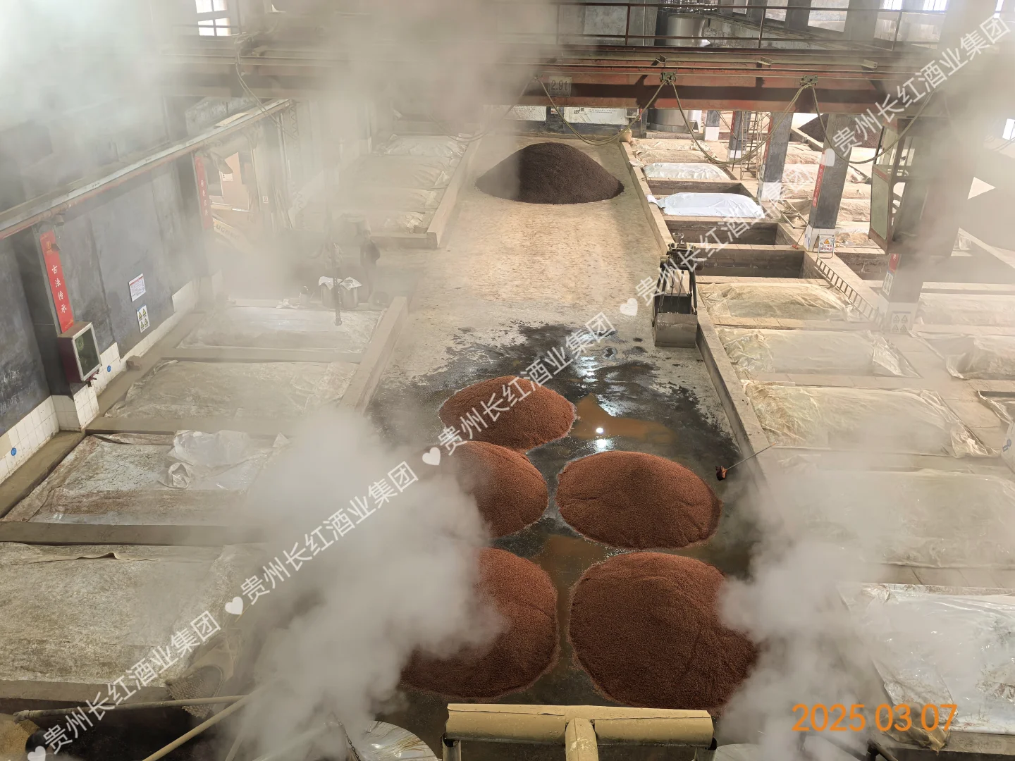 呜呜呜，大家说这些泥巴坨坨是什么？