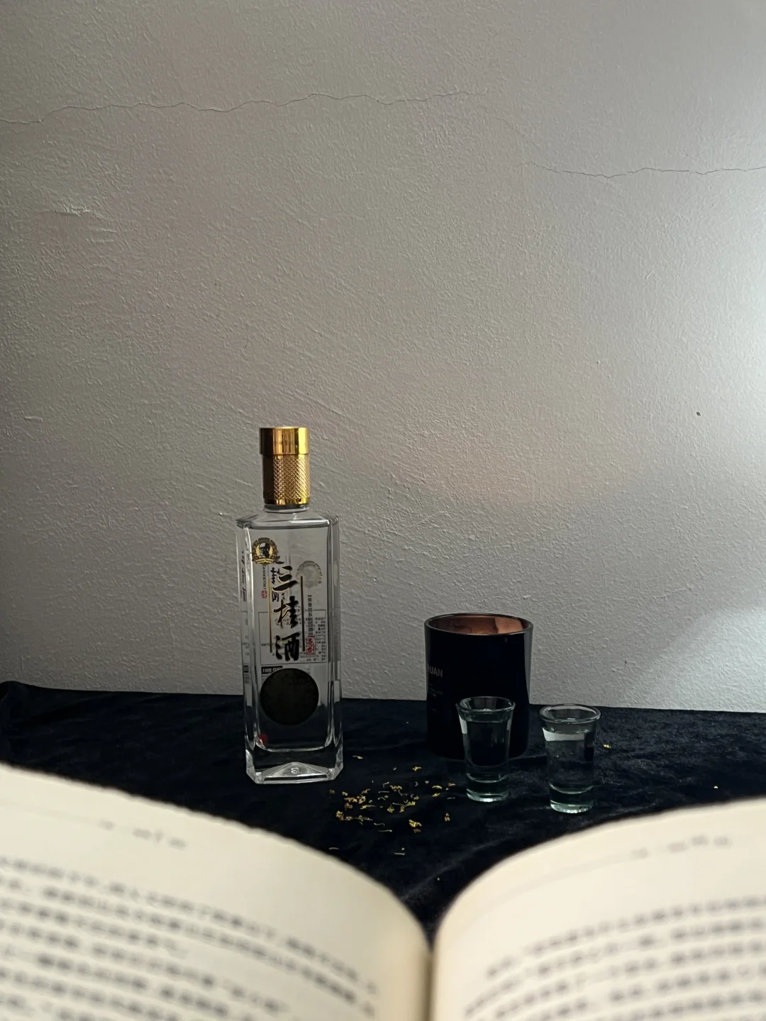 Plog | “处处消化浪漫”