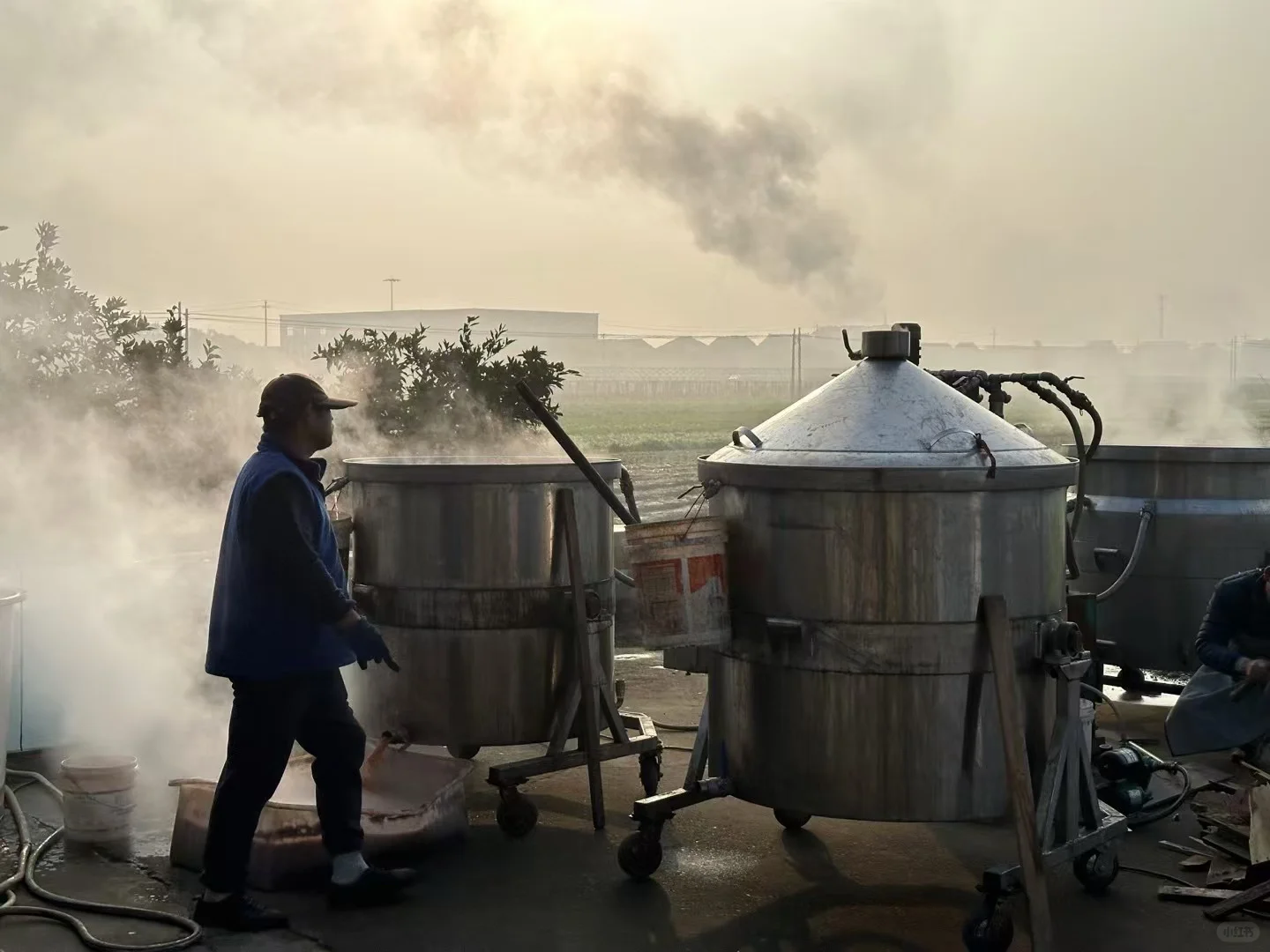 纯粮精酿高粱烧，52度炽热真心