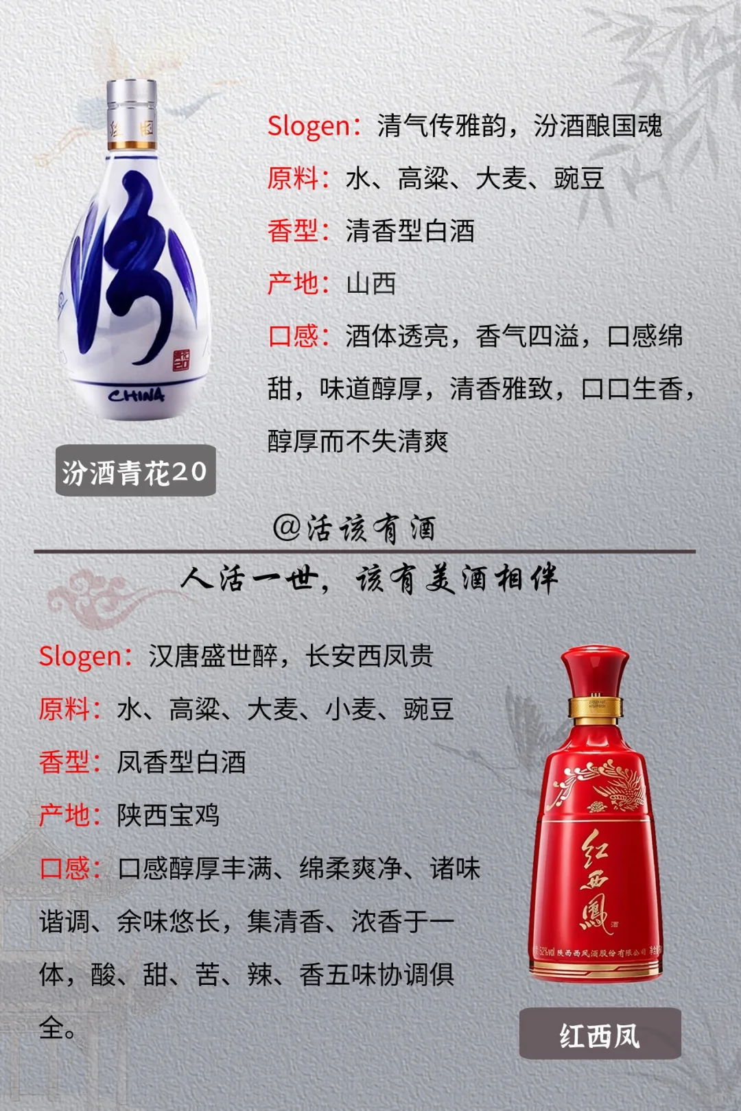 1963年评选的中国老八大名酒，你知道哪些