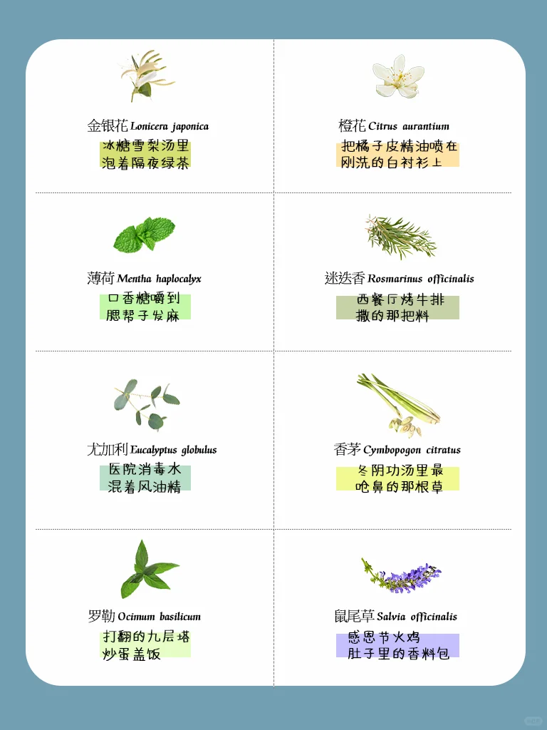 ?秒懂！ 一句话讲明白香植的味道~