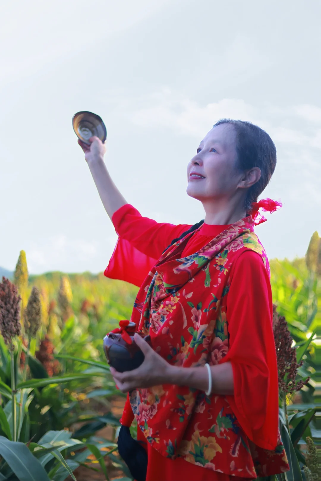 南宁的高粱红了