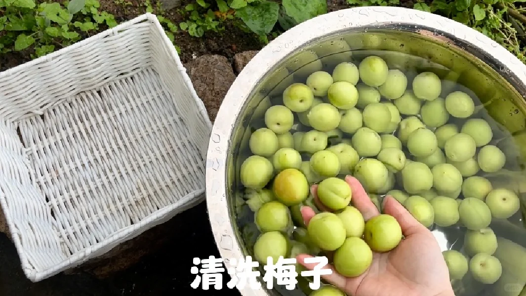 快来抄作业！教你泡出好喝不苦涩的青梅酒