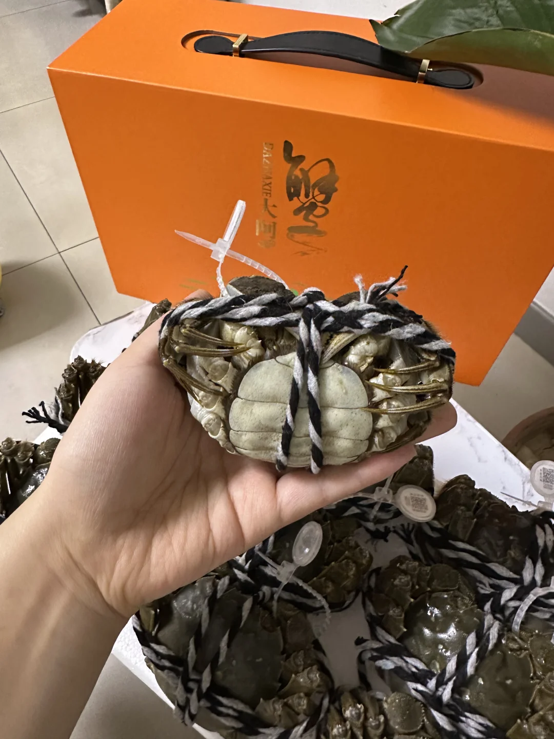 100+一箱的大闸蟹 也太大了吧‼️
