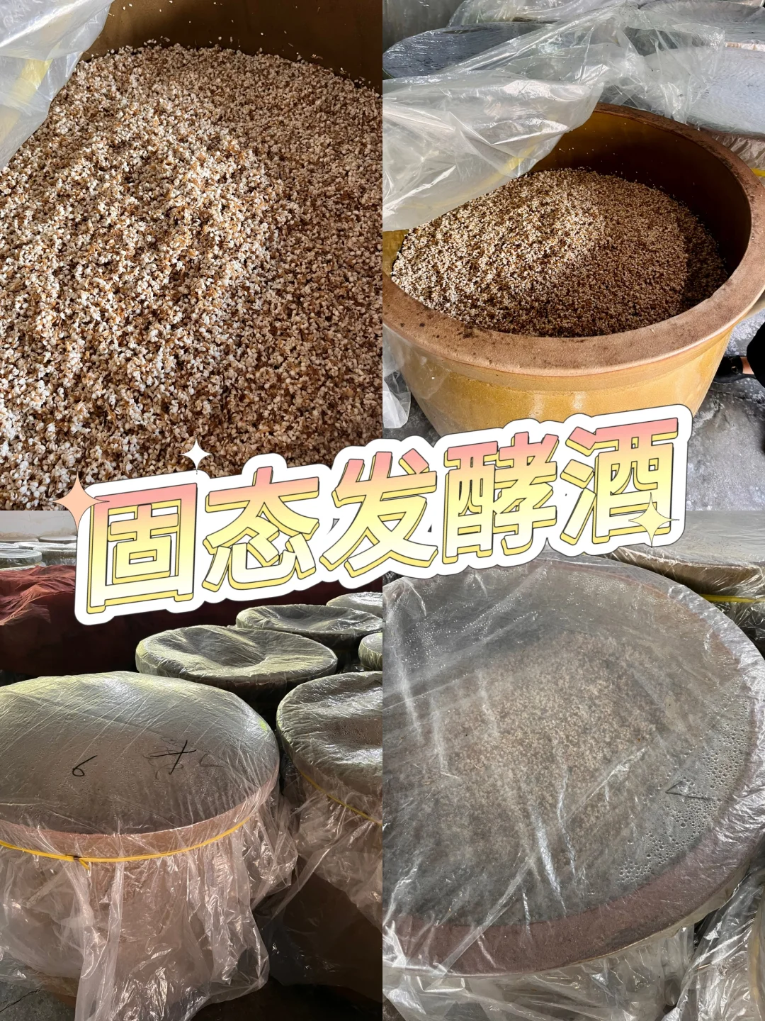 为什么选择固态的发酵的酒？