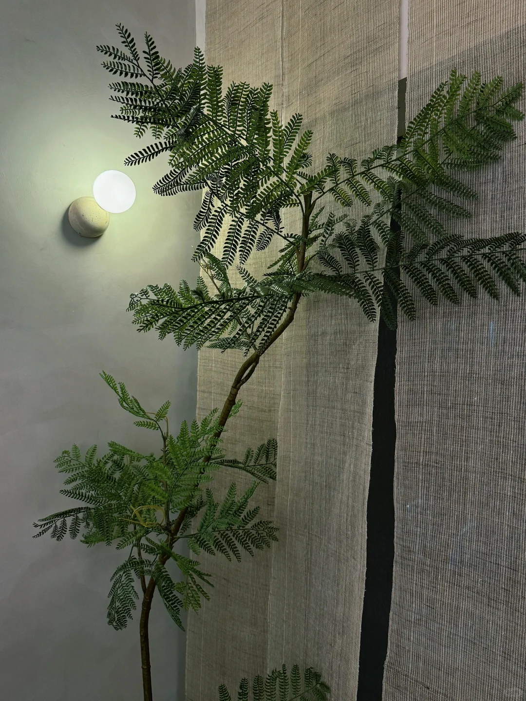 ?｜作世间闲行闲客·国风茶酒