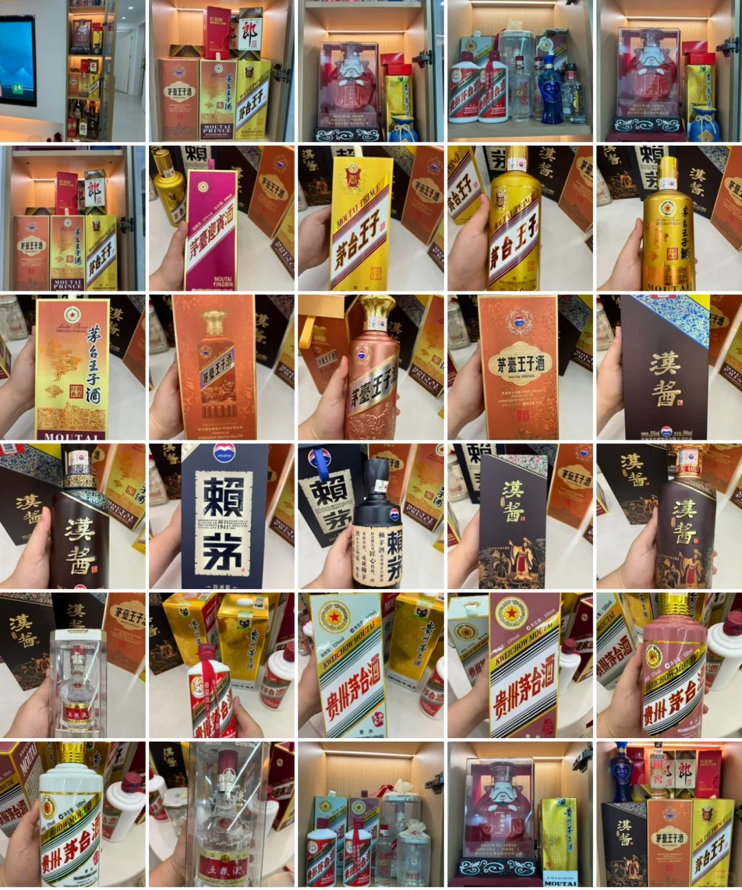 家里的茅系大聚会✨