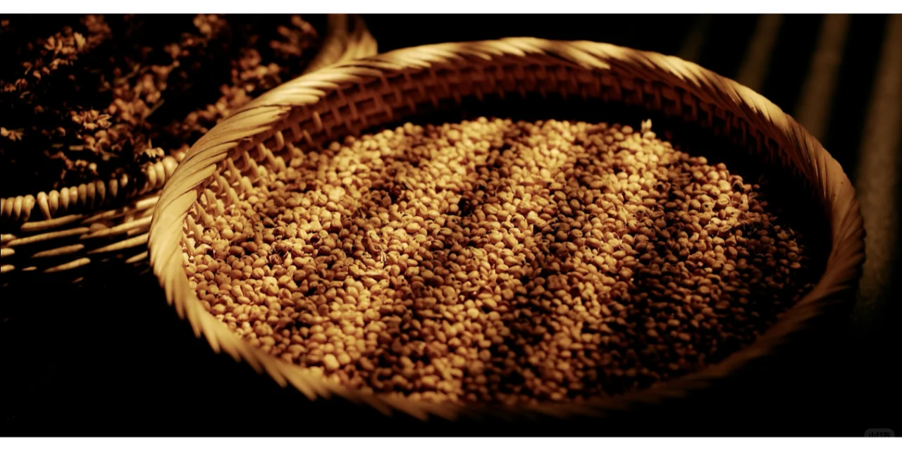 白酒酿造工艺 | 大曲坤沙和碎沙工艺揭秘✨