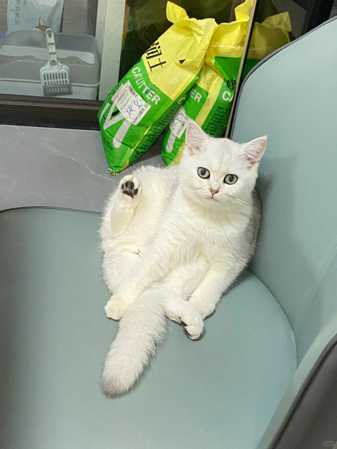 ?撸酒撸出了血的教训。。。叨叨酒的坑‼️